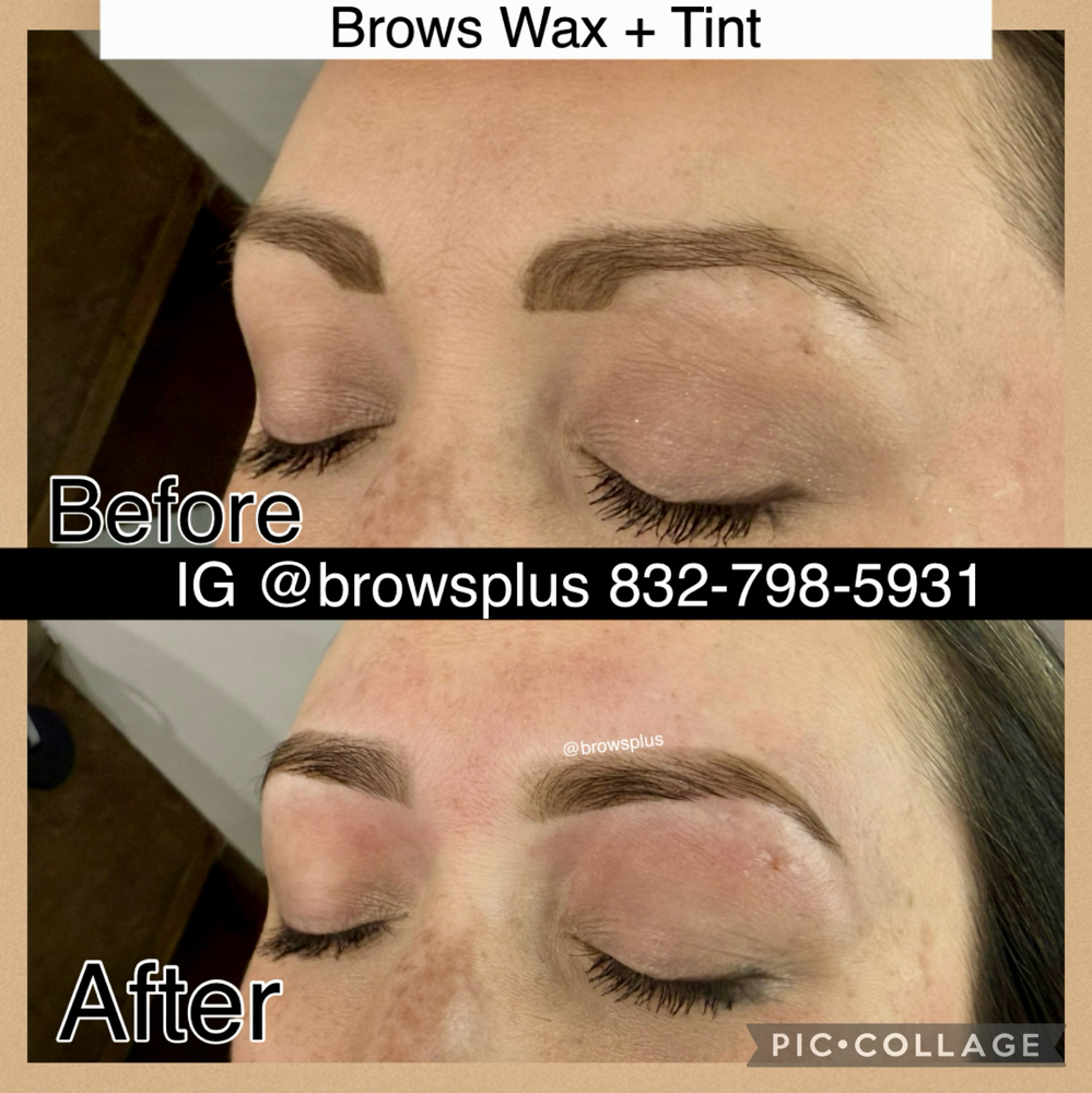 BROWS WAX + TINT