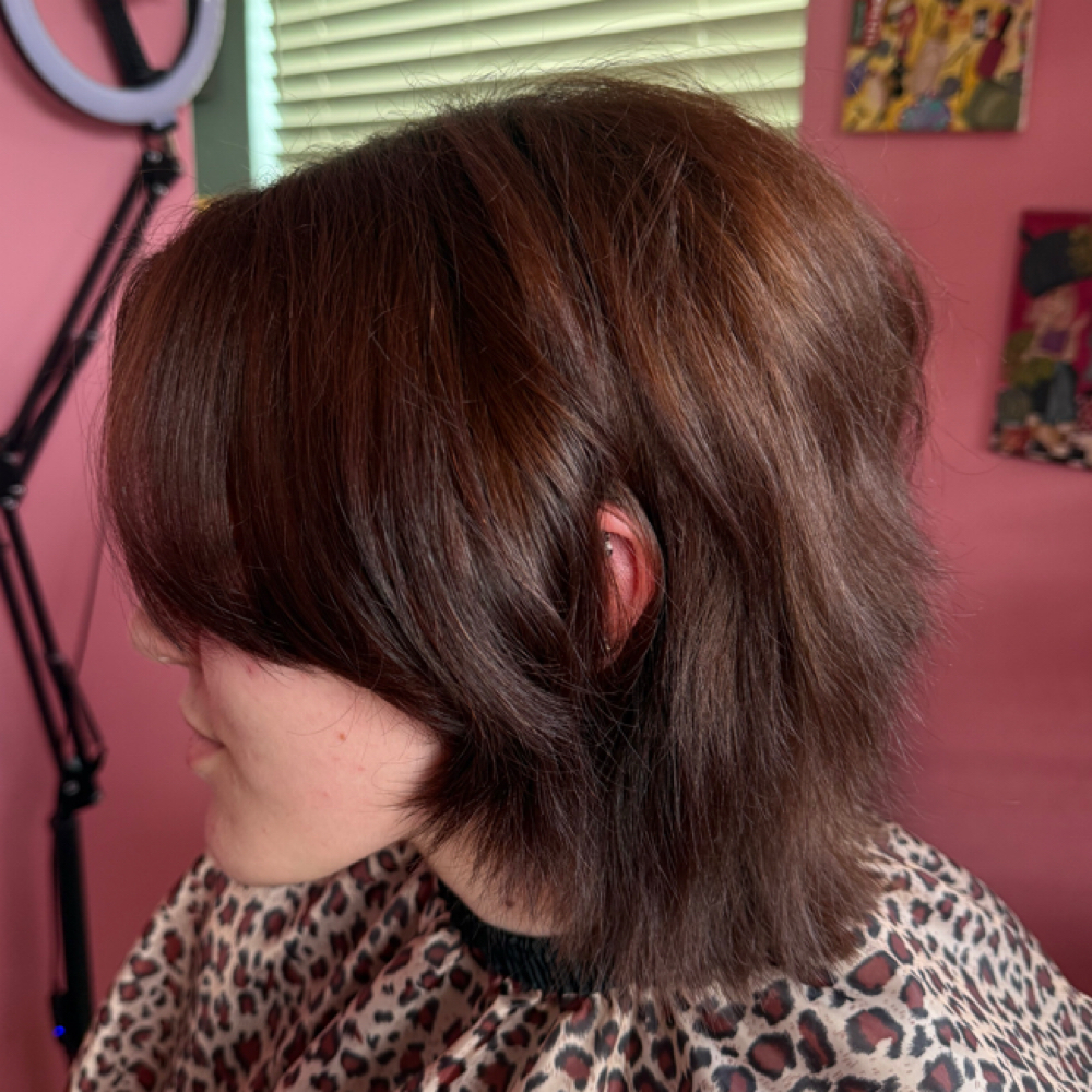 Razor Cutz at Kewpie Kutz in Evansville, IN