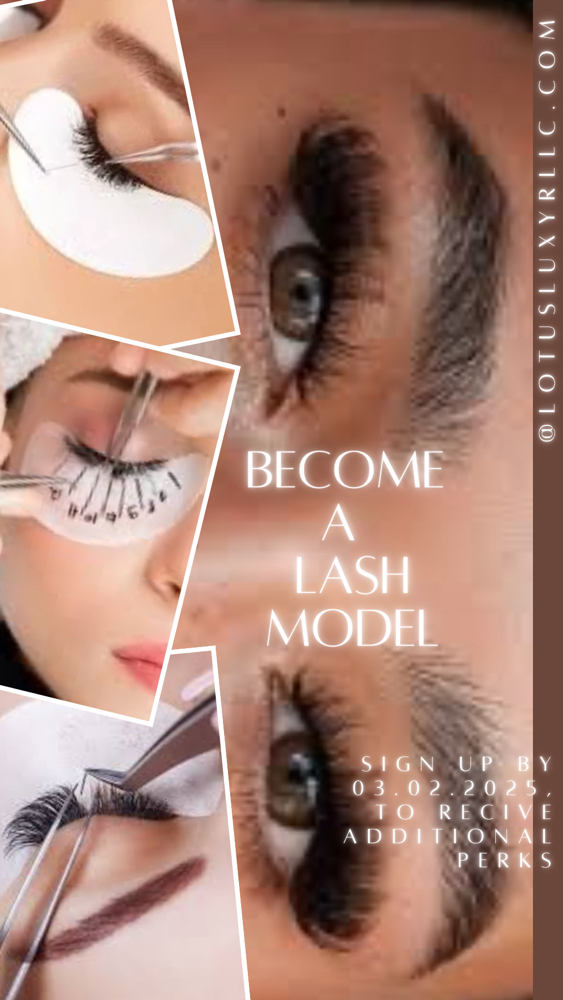 Lash Model