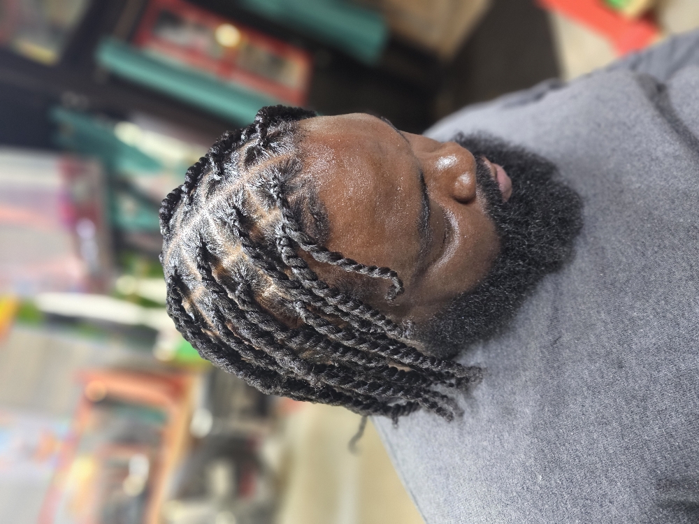 2 Strand Twists