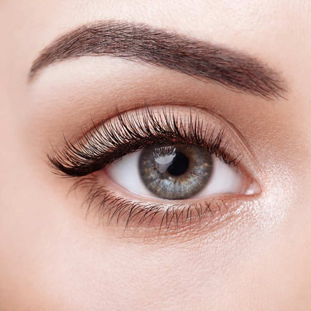 Classic Lashes