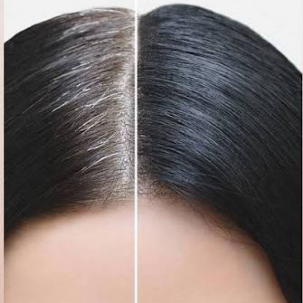 Signature Regrowth Refresh at Elev8ed Hair LLC. in Saint Augustine, FL
