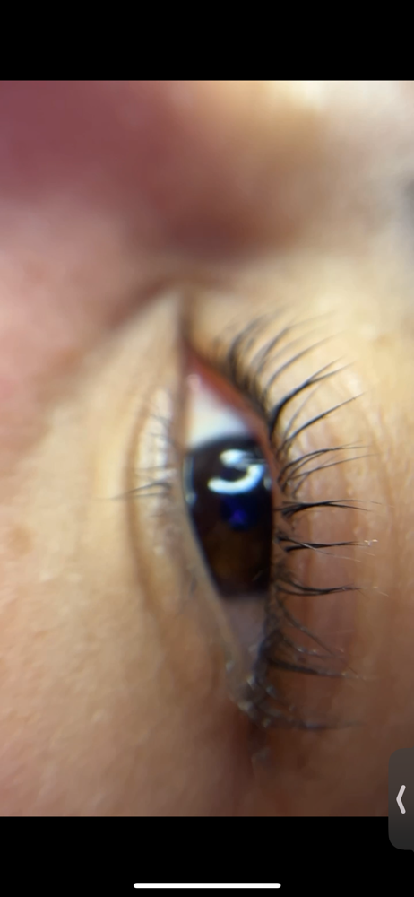 Lash Lift