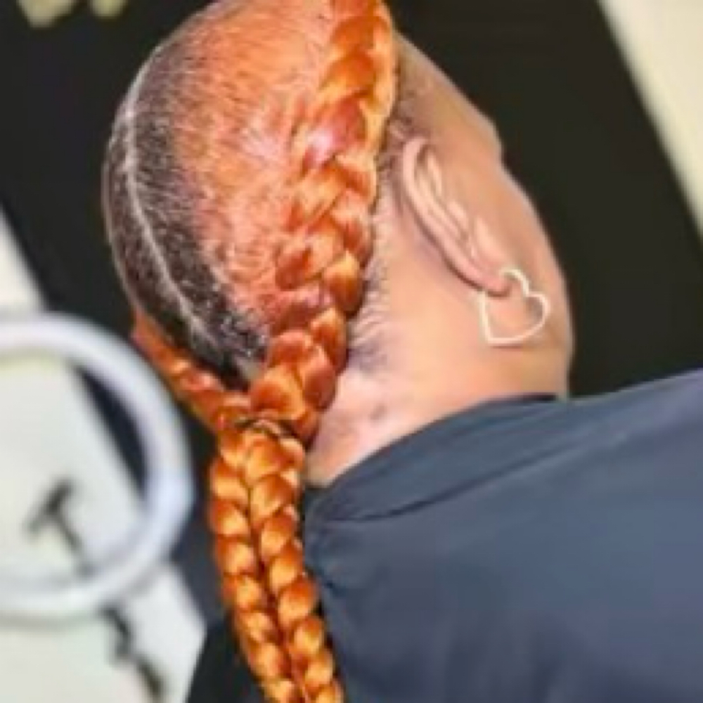 2 Feed In Braids
