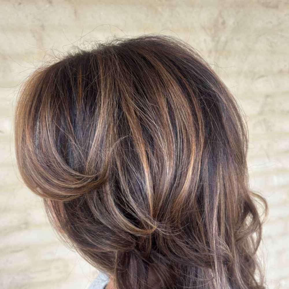 Lowlights at Rouge & Co. Salon in Sumiton, AL