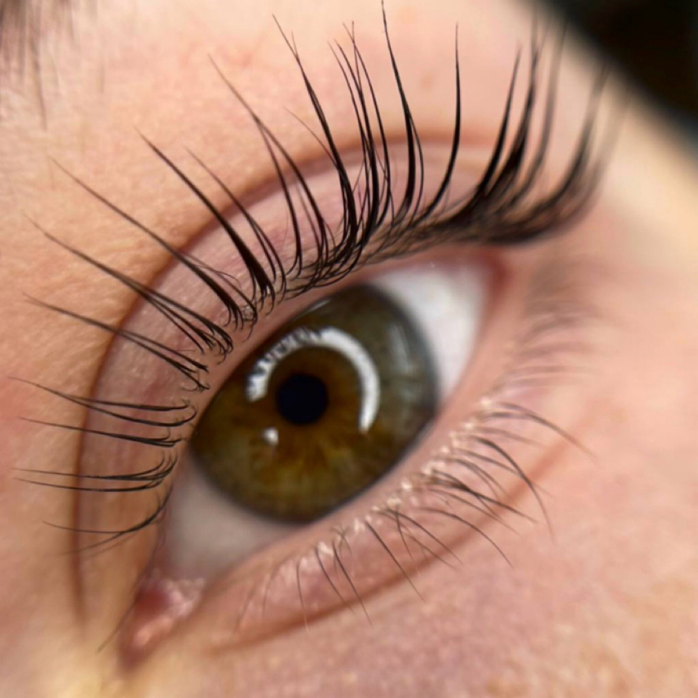 Lash lift + Tint at ap lashes in Charlotte, NC