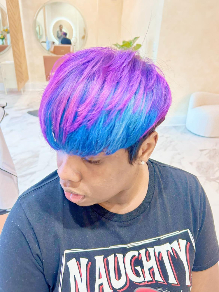 Haircut, Double Pr, Wash & Style