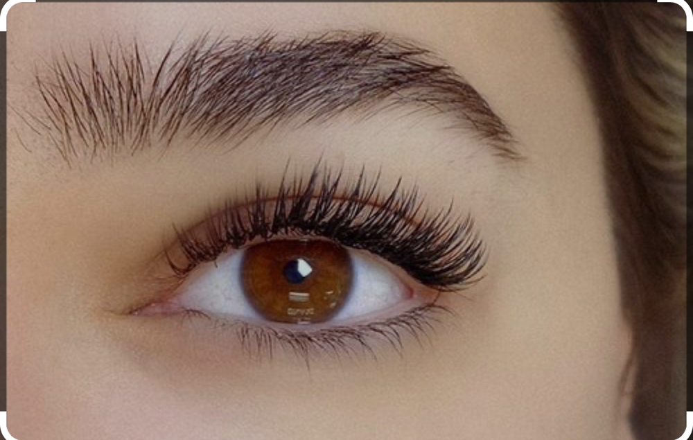 2 Week Lash Fill