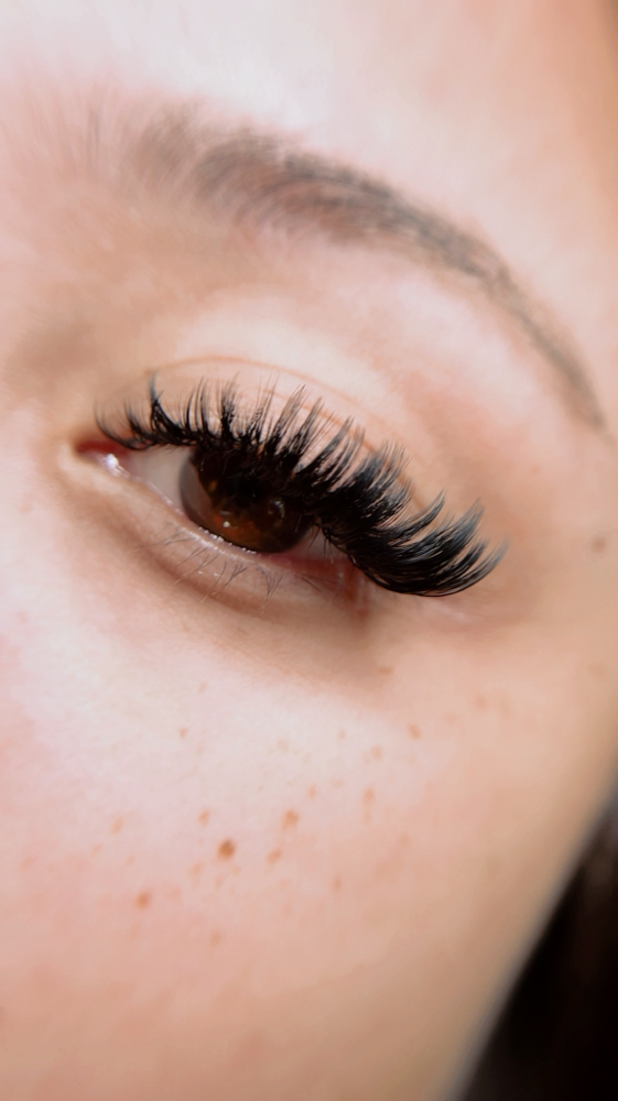 Lash Consultation