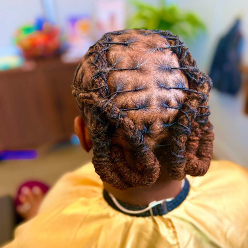 Barrel Twist or Loc Braids at Na'Truely Crown'd in Farmington, MI