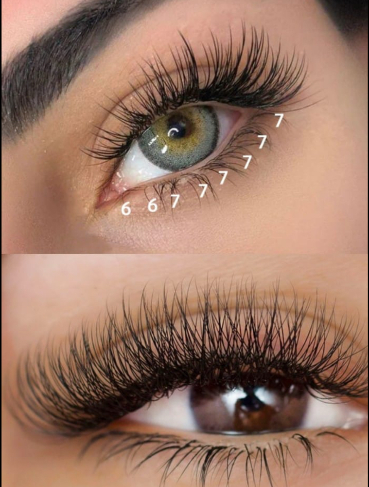 Bottom Lash Application