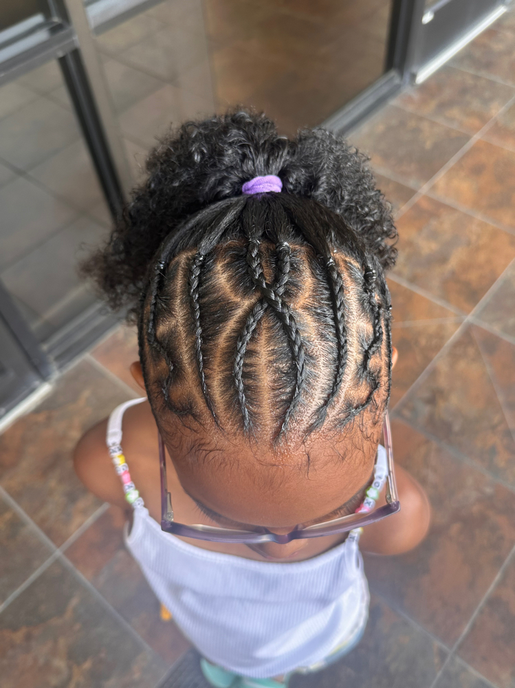 Braided Ponytail