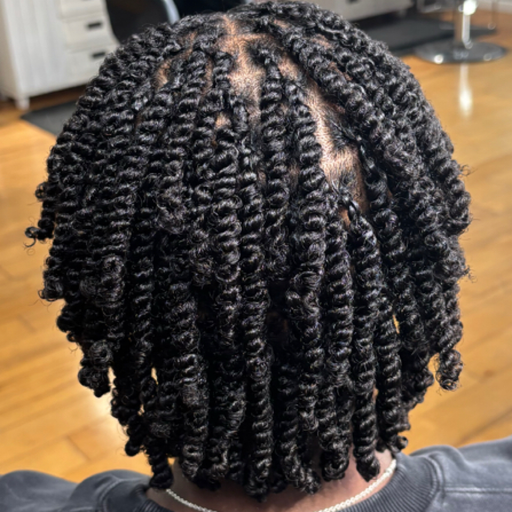 Two Strand Twist at Hairbyanneciaatl in Mableton, GA