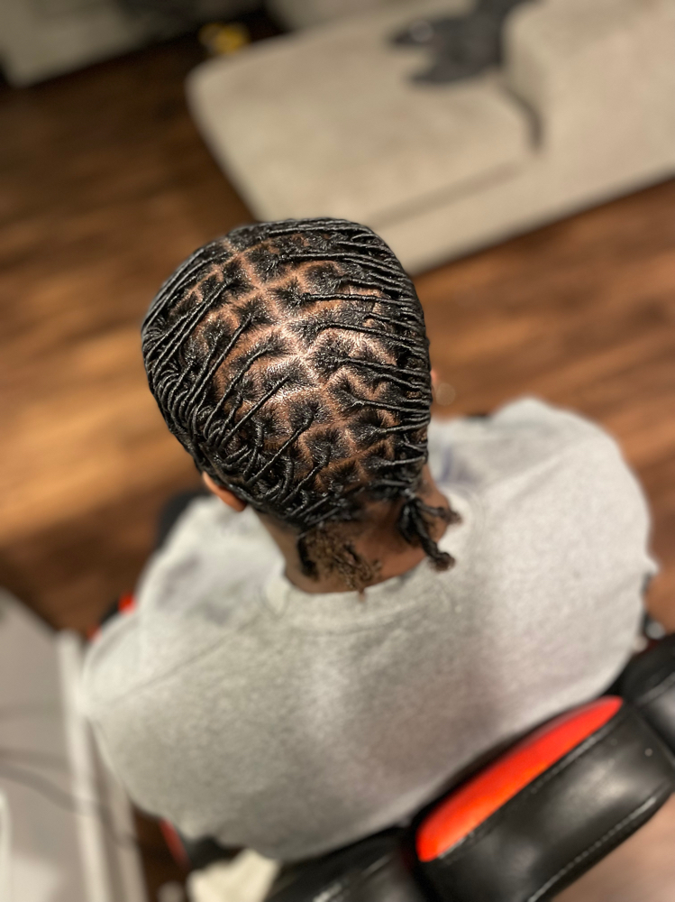 Starter Locs(consultation Required) at NaturaLee Styling LLC in Charlotte, NC