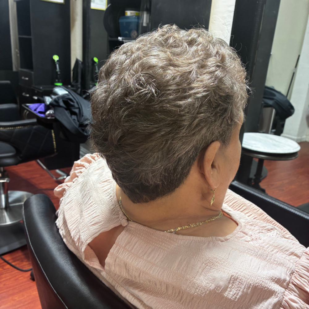 Short Hair Color Touch-up at Hair studio 212 in Salinas, CA