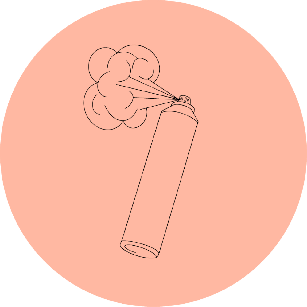 Color Refresh + Haircut