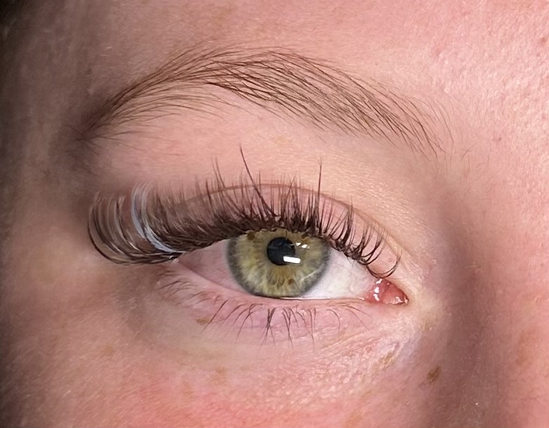 BROWN HYBRID LASH SET🐻