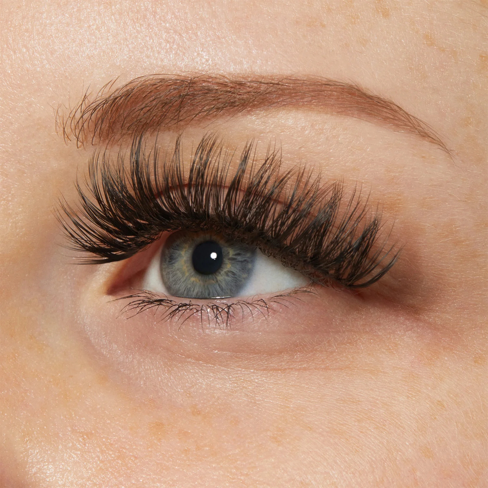 Volume Lash Fill at Studio207 in East Machias, ME