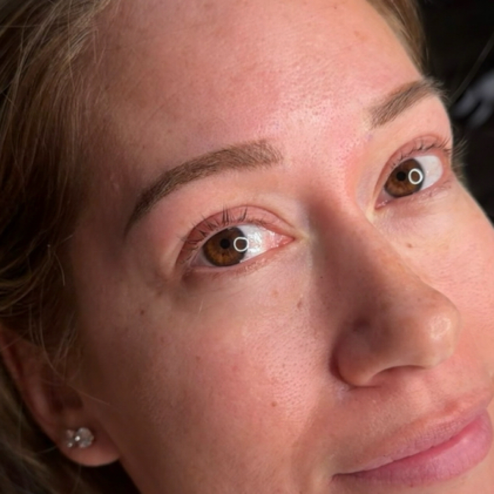 $100 Off Powder Ombre Brows at Wildflower Aesthetics in New Port Richey, FL