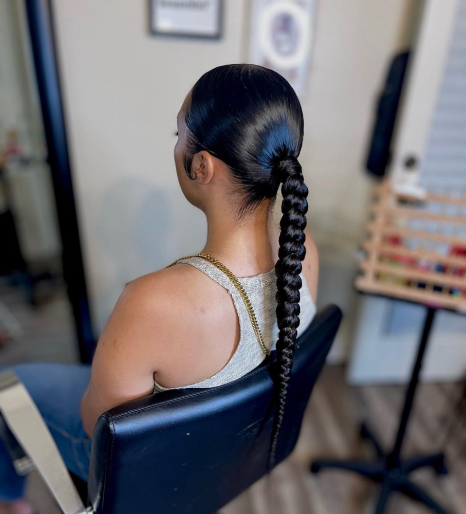 Sleek Ponytail w/ Braid