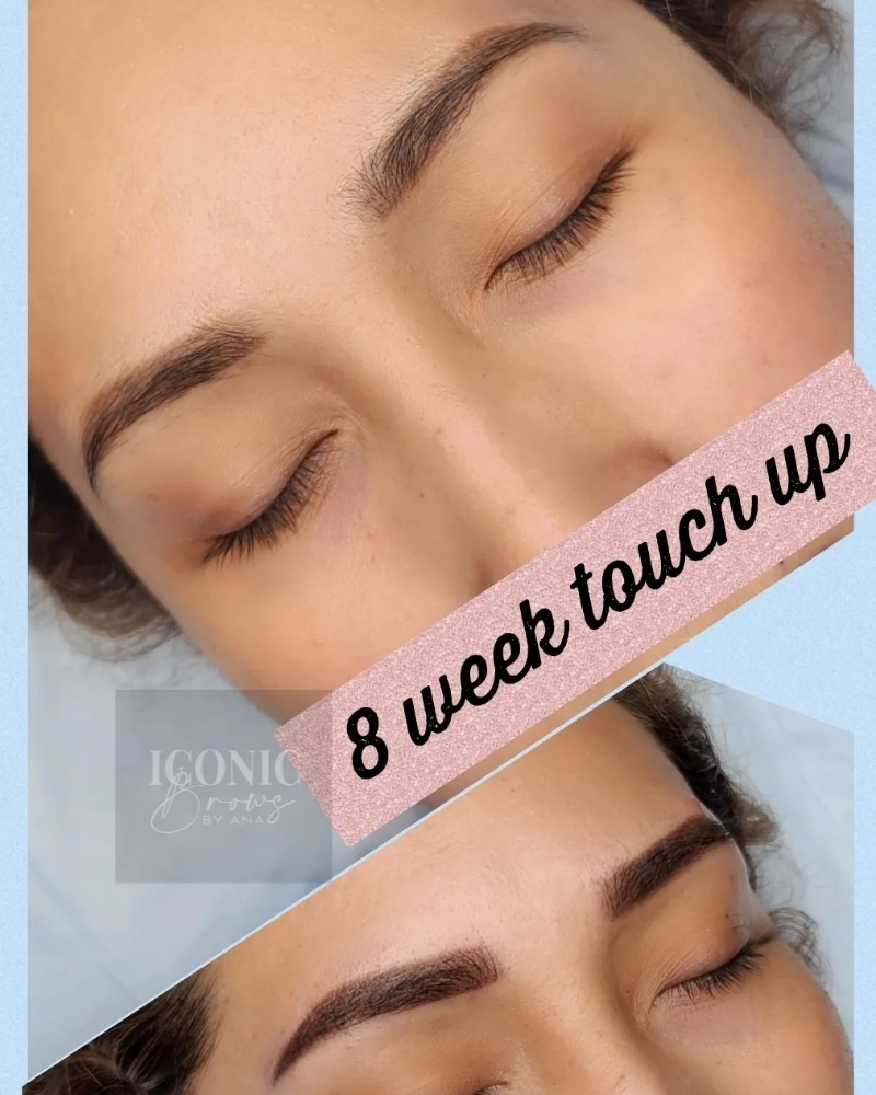 6-8 Week TouchUp (Existing Clients) at Iconic Brows By Ana in Reno, NV