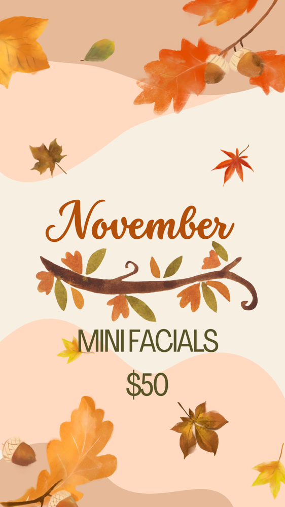 November Mini Facial