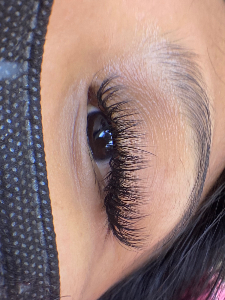 Hybrid Lashes