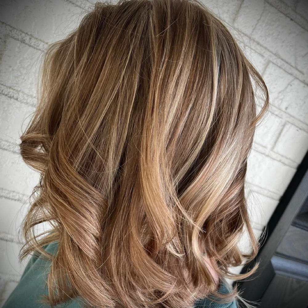 Mini Bombshell Highlights at Monica’s Bombshell Beauties in Brooksville, FL