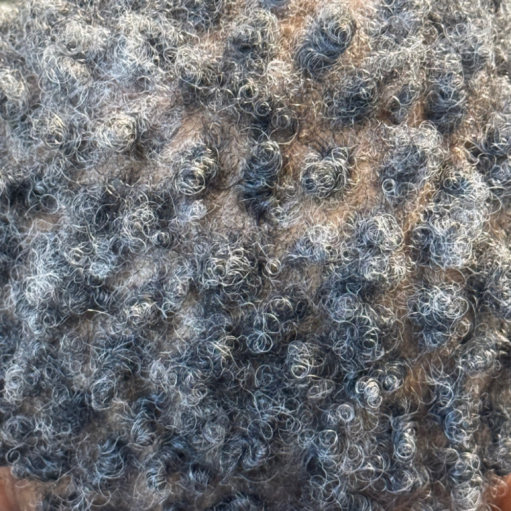 Bushy Locs at Nisabel Scalp Salon in Rochester, NY