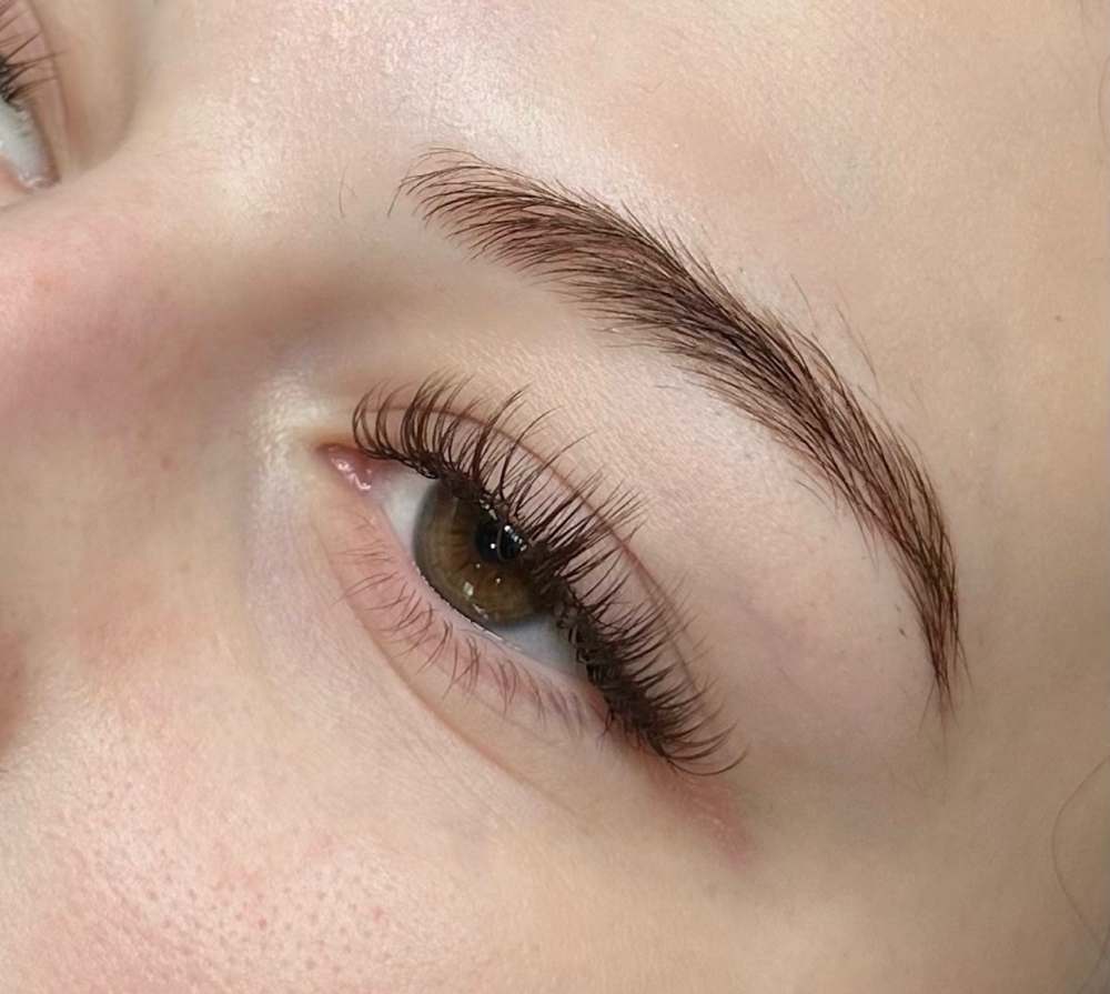 Brown Lash 2 Week Fill