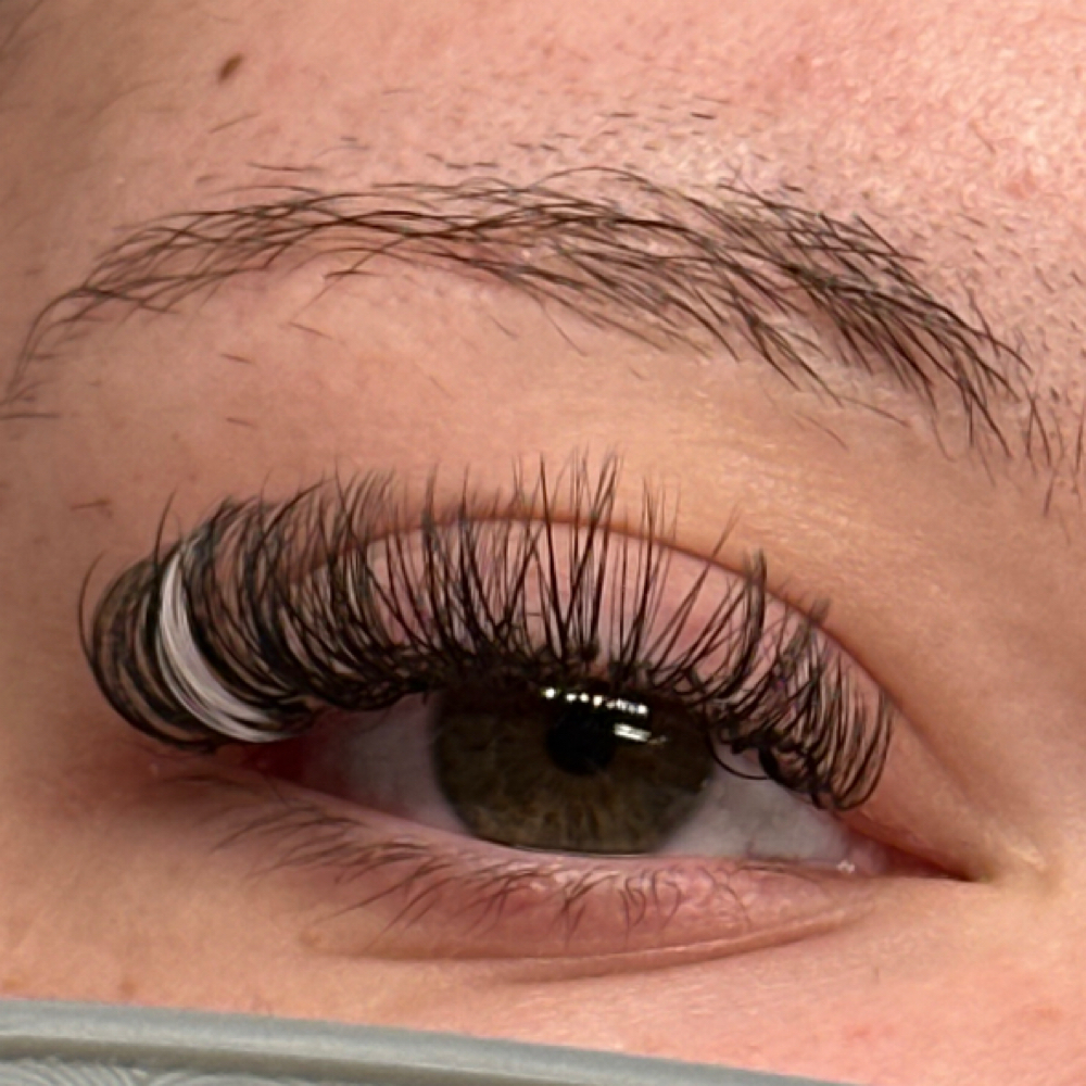 Color Lash Extension at Beauty X Janessa in Austintown, OH