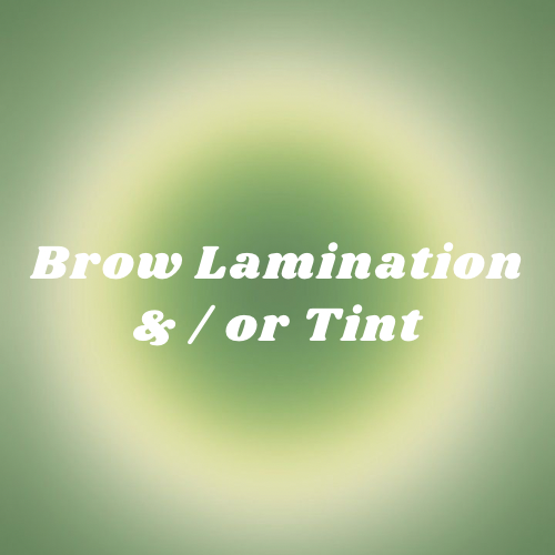 Brow Lamination + Tint