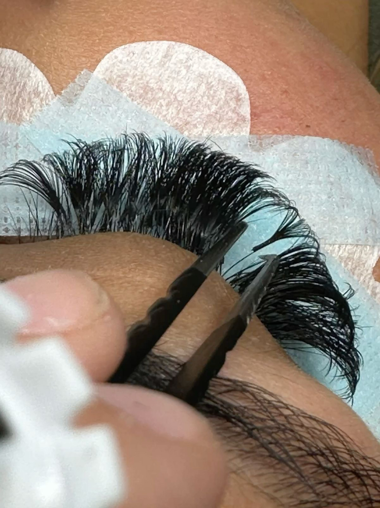 2 Week Lash Fill (11-17 Days) at Beauty Galore By Lee in New York, NY