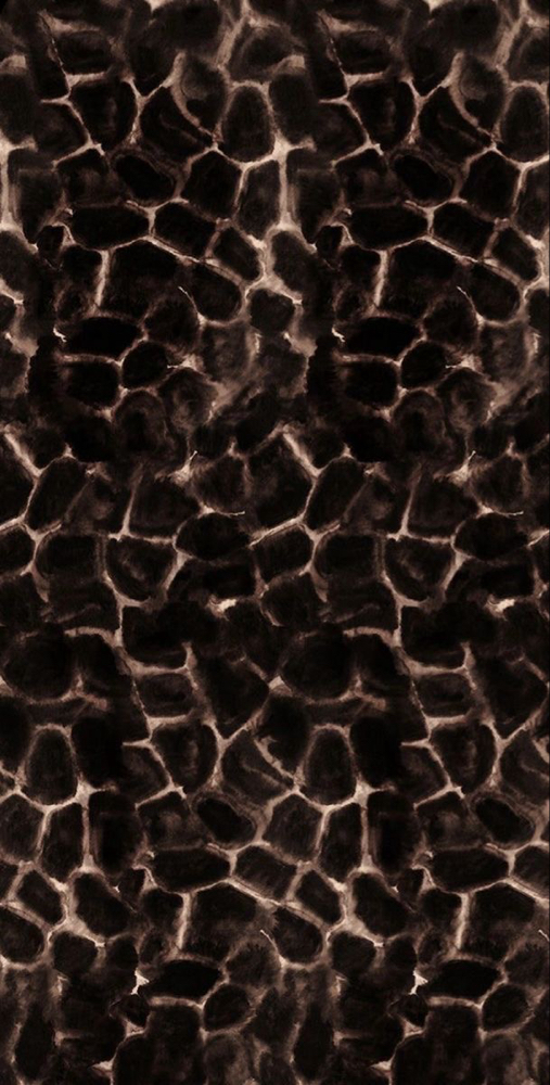 Partial Service at Hair By Shelbs in Marshall, TX