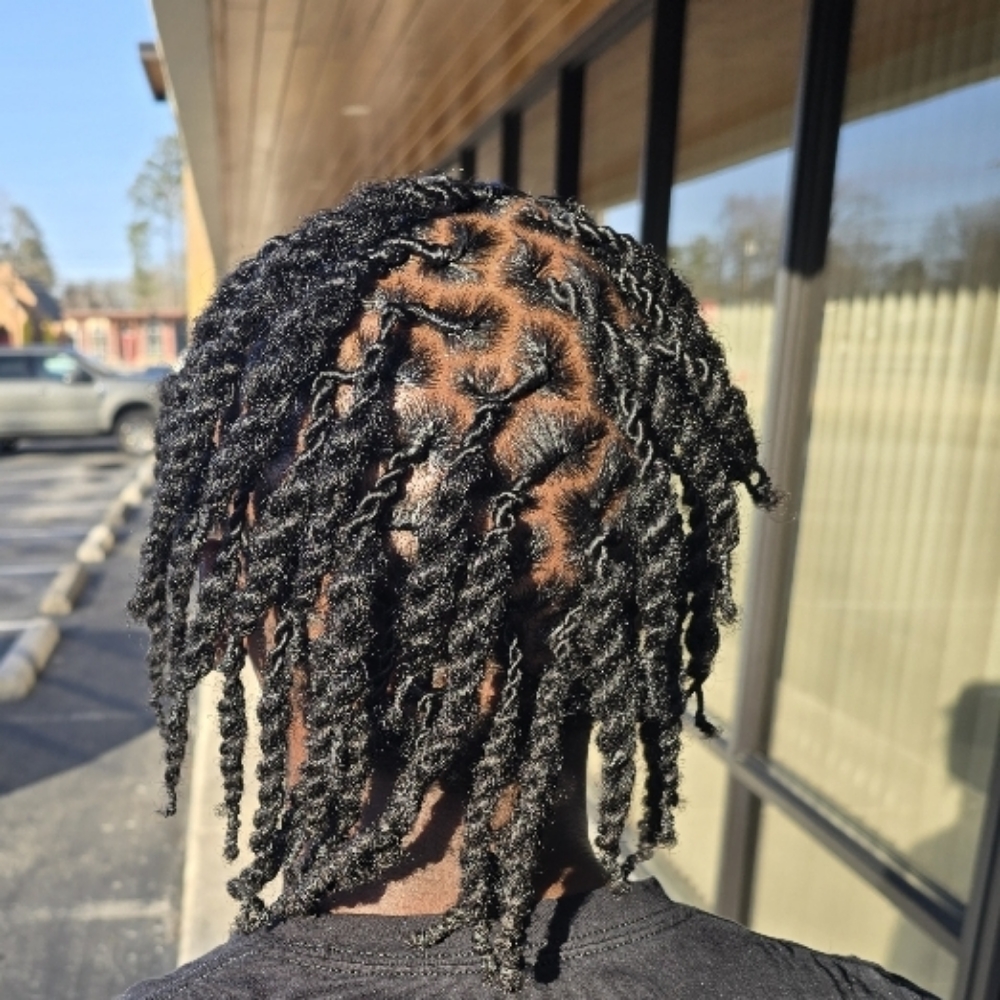2-3 Strand Twist Above Shoulder at Locs of Love in Chattanooga, TN