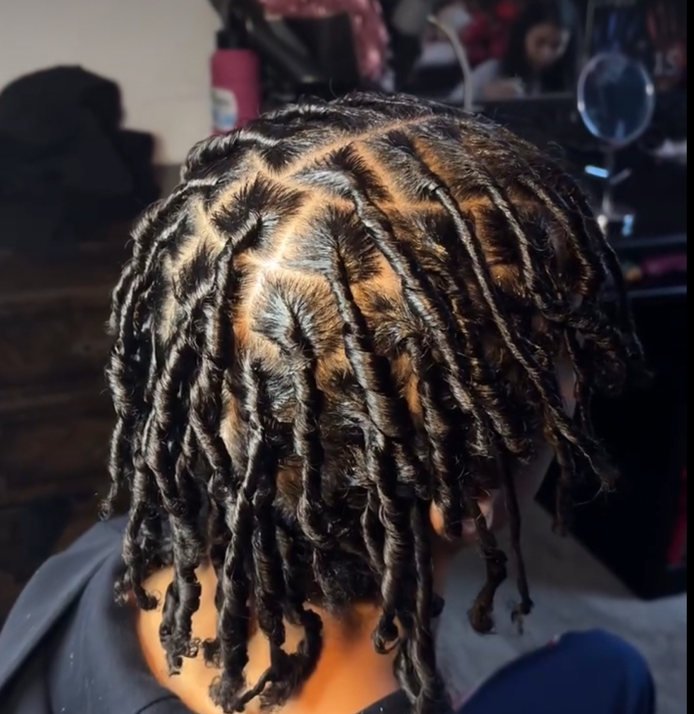 Starter Locs