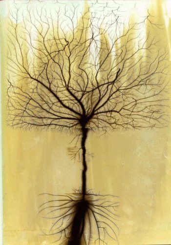 Nervous System Reset Facial