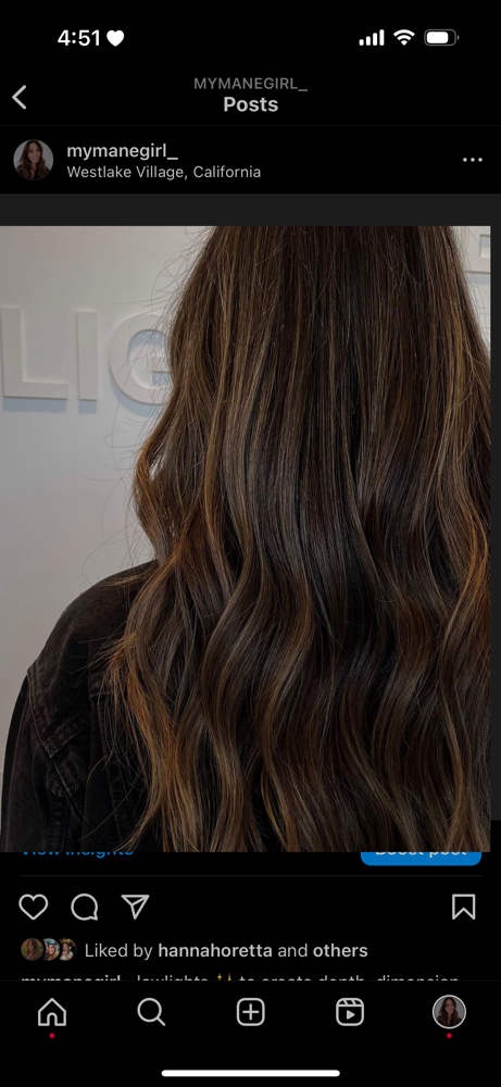 Partial Balayage & Haircut