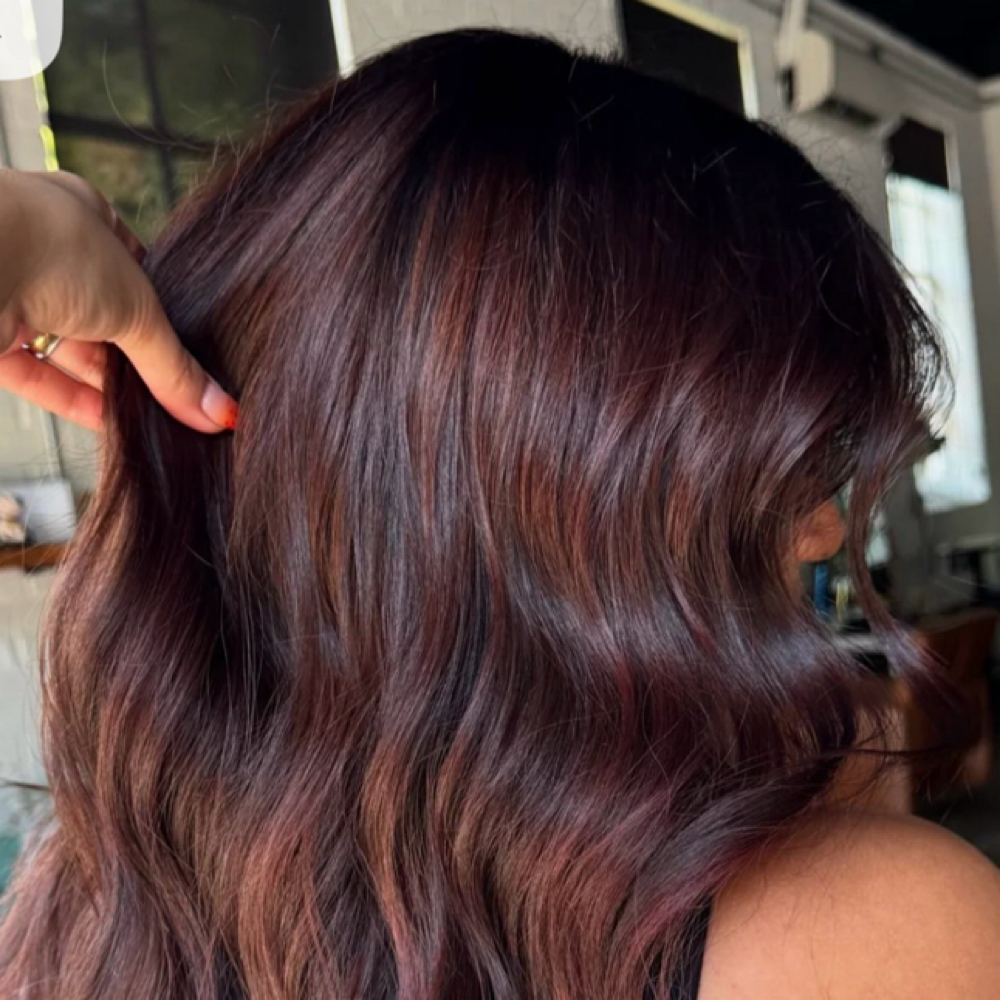 Toner Add On Long Hair at Deanna at Royalty Hair Studio in Shreveport, LA