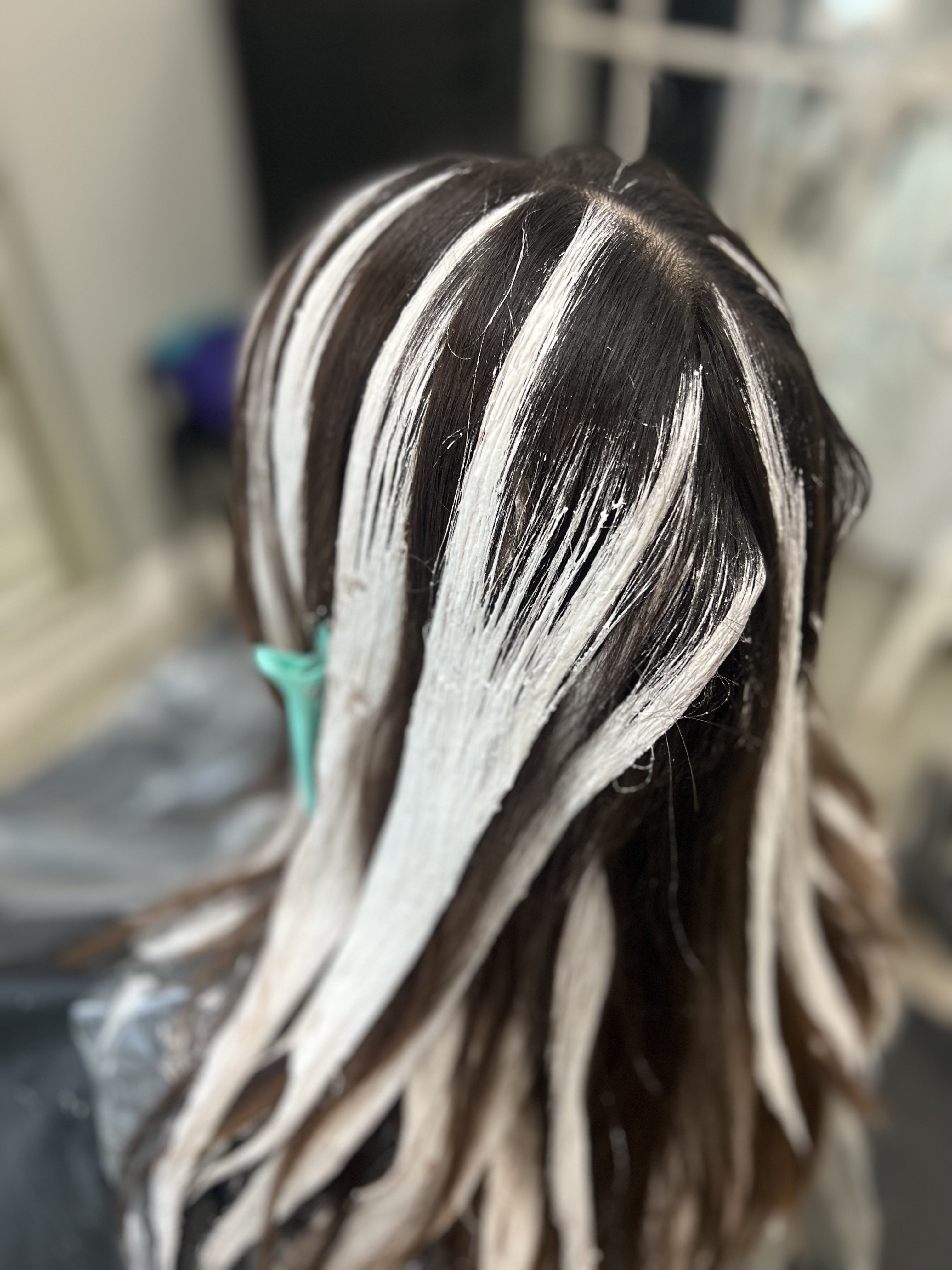 Balayage (Freehand Color)