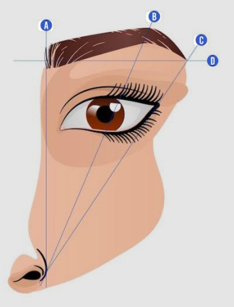 Brow Mapping & Design