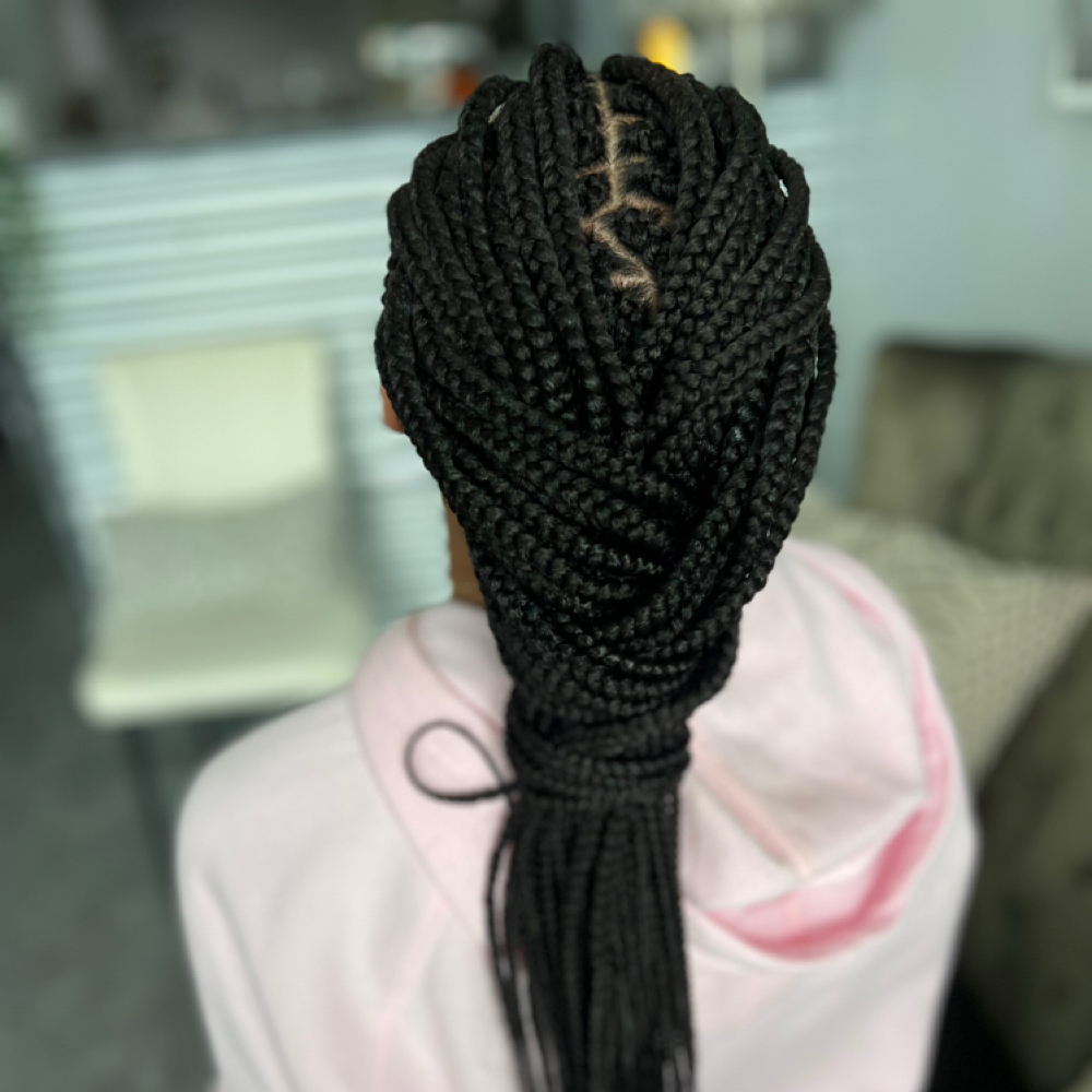 Simple Large Box Braids