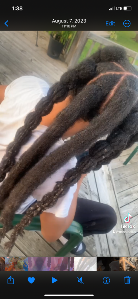 Congo/Wick Locs at Cierra Donahue in Waterford, MI
