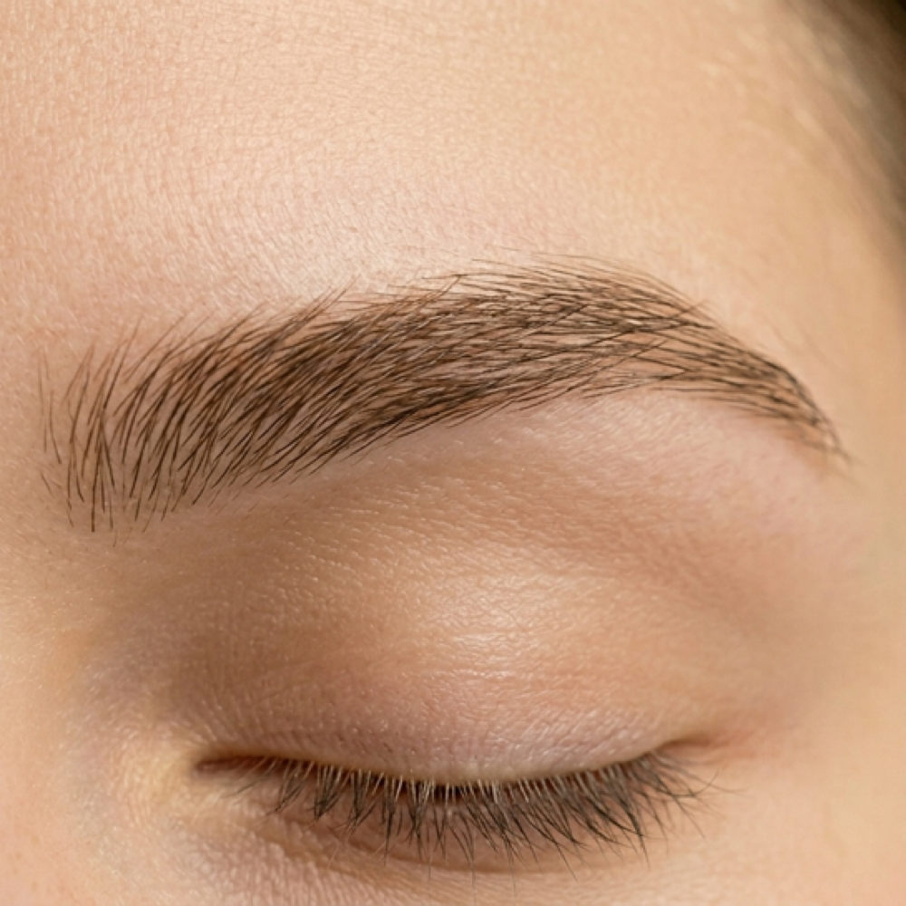 Eyebrow Wax at BotanIQ Esthetics in Chesapeake, VA