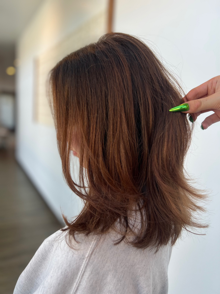 All Over Color (No Blow-dry)