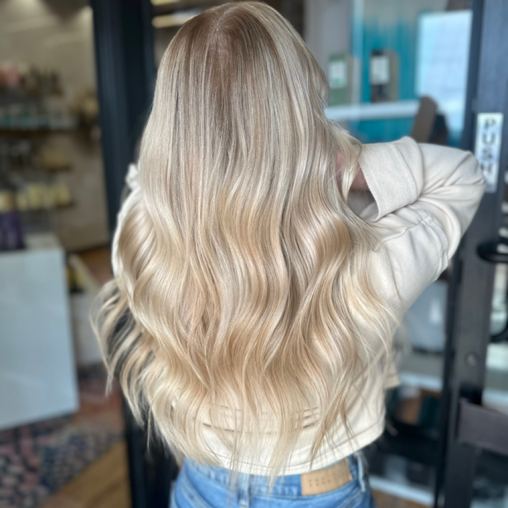 Full Highlight at The Mane Experience in Burr Ridge, IL
