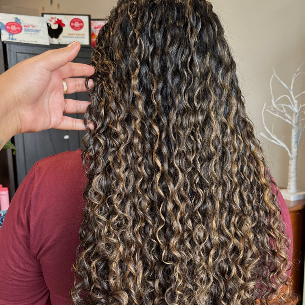 Curly Balayage at Amya  Boose in Coral Springs, FL