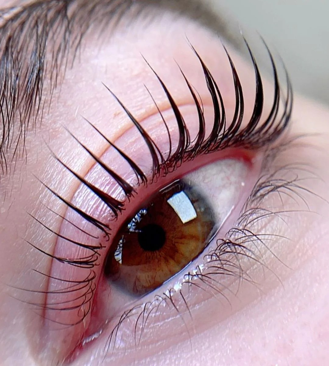 Korean Lash Lift