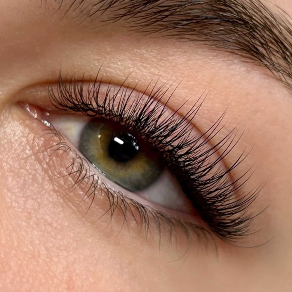 Classic Lashes