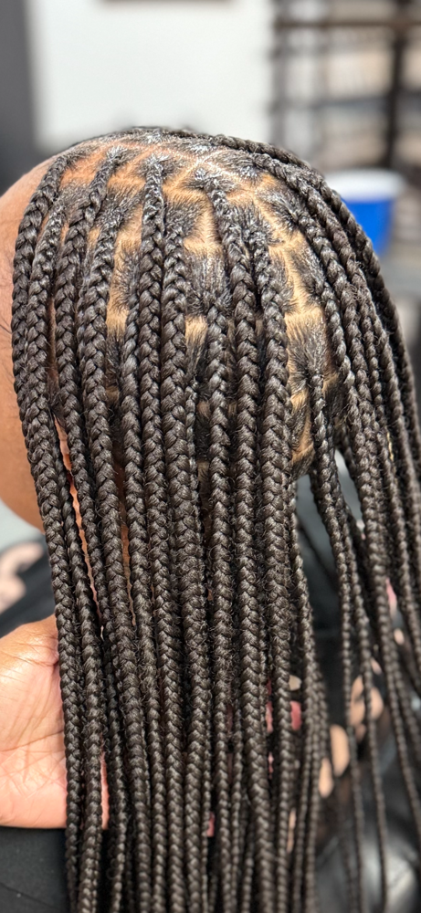 Knotless Braids (Starting at $175+)